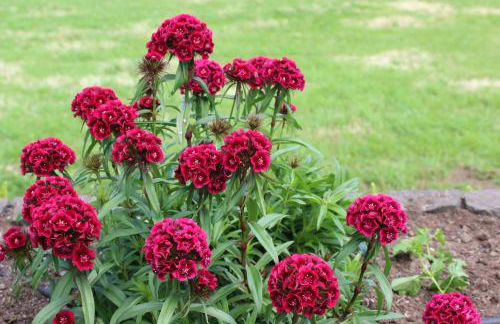 Casa da Avó - Turismo Rural - Foto 23