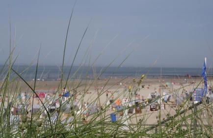 AchterHuus - Foto 22