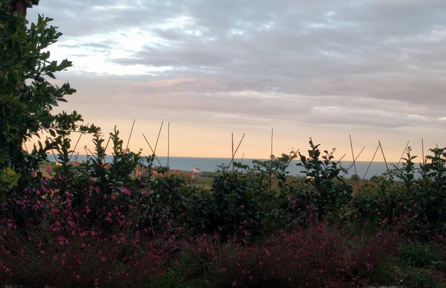 Villa Picena - Foto 40