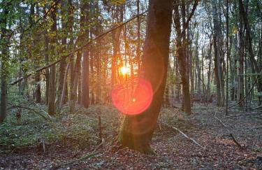 Panorama-Auszeit in Trierweiler - Foto 36