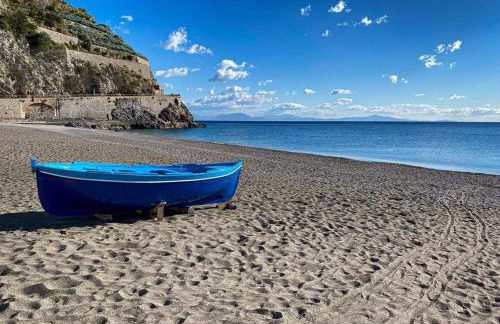 Brasca Amalfi Rosa Canina - Foto 6