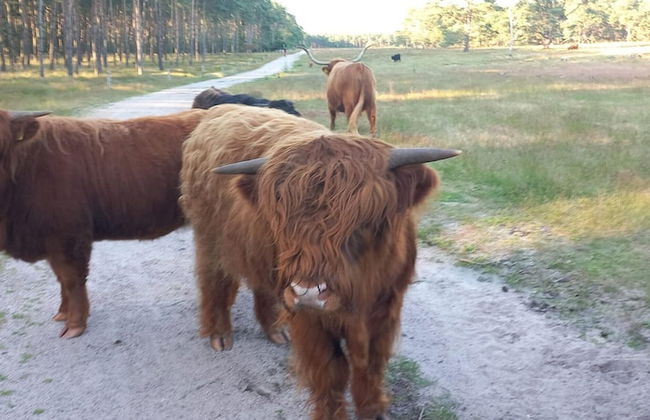 Cozy Villa w/ Sauna and BBQ - Photo 31