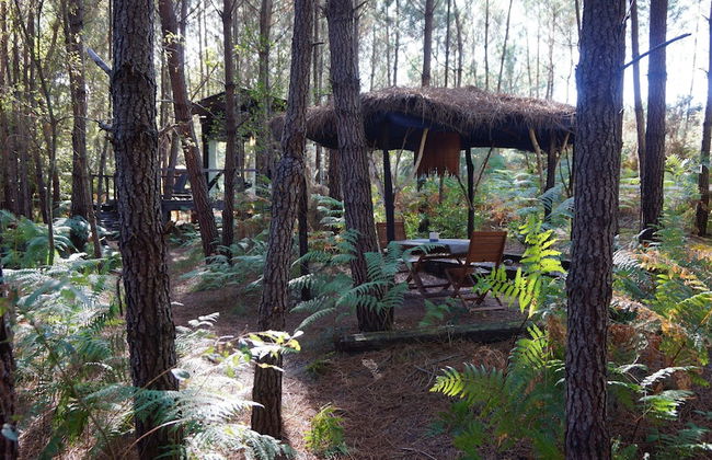 Les Landines - Foto 35