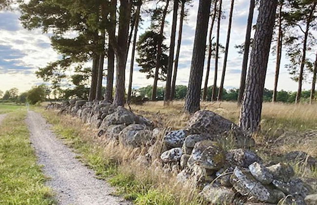 4 Person Holiday Home in Hagby - Foto 4