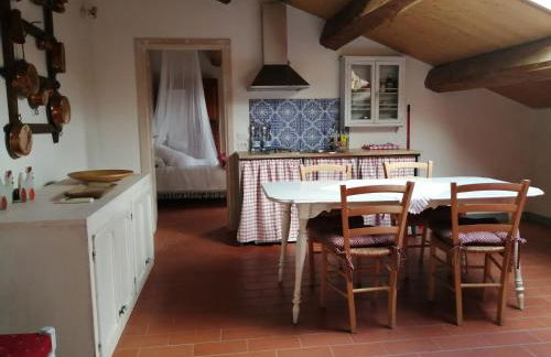 Az. Agr. IL PARADISO di Beatrice Bondielli - Foto 20