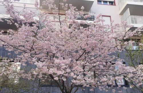 Eiffel seightseing - Foto 18