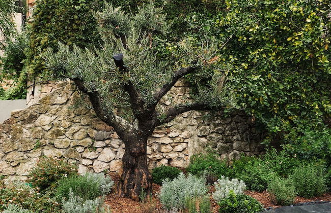 Eze Beach Residence - Foto 159