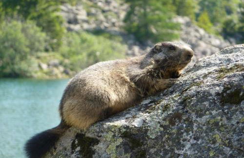 Les Balcons de la Meije - Foto 16