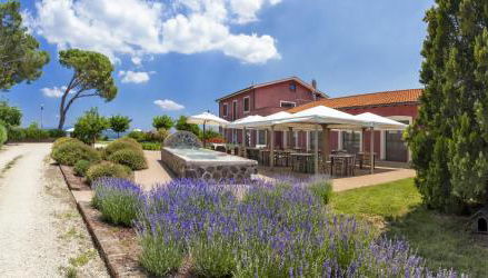 Locanda Rossovino - Foto 4, Garden