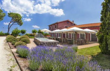 Locanda Rossovino - Foto 4