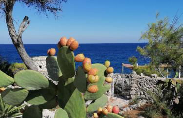 Villa Marigiosa Salento - Foto 42