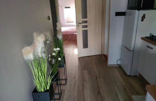Apartament na poddaszu Pola - Foto 8