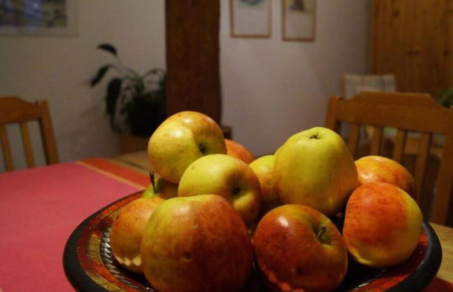 Dorotheenhof - Foto 26