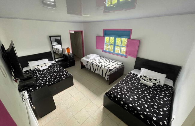 finca el arrullo - Photo 6