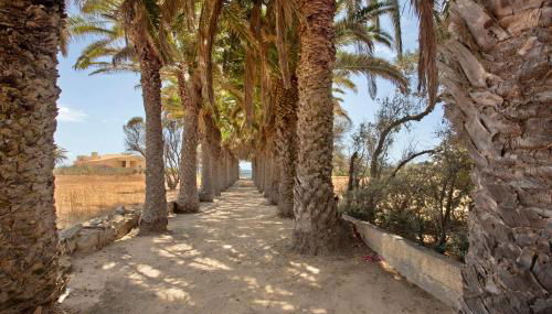 Casa de férias a 75 metros da praia - Foto 4