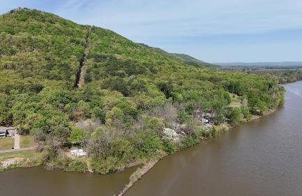 Paw Paw Tree Estate - Foto 11