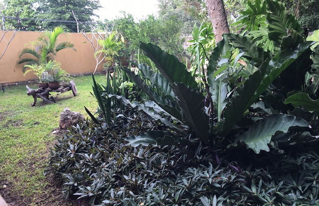 Merida Casa Colonial Centro Suite - Foto 11