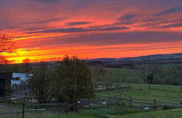 Ferienwohnung Wolf - Photo 22