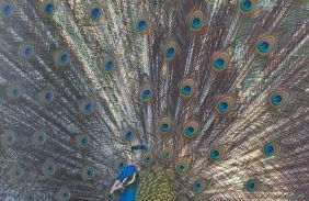 Ferienwohnung Eiernest - Foto 23