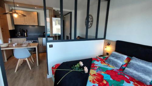 Magnifique 3 étoiles en hyper centre avec place privée - Foto 5