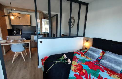 Magnifique 3 étoiles en hyper centre avec place privée - Foto 5