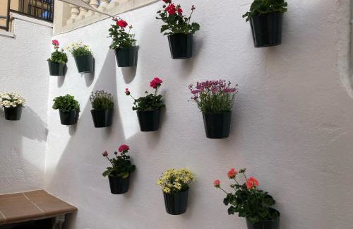 Lola's Beach House - Foto 20