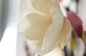 Work and Stay Apartment Balcony - Foto 6