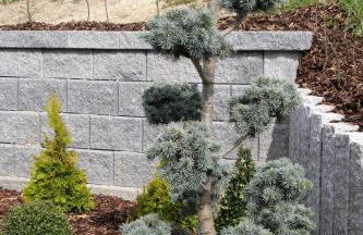 Chalet Chip-In Golf Wandern Berge - Foto 22