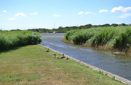 The Studio - Foto 18