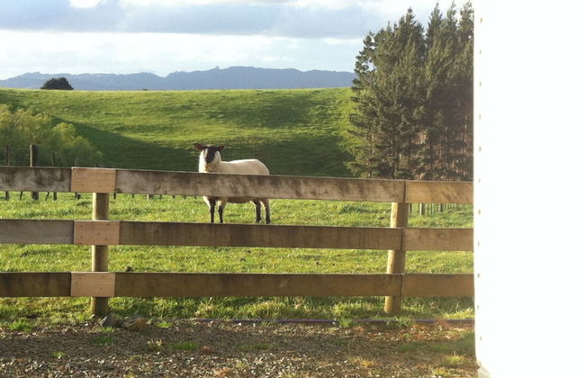 Mangawhai Retreat Apartments - Foto 80