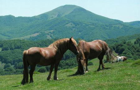 Casa Rural Lenco - Foto 60
