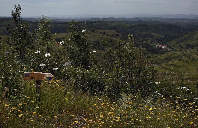 Quinta do Chocalhinho - Foto 26