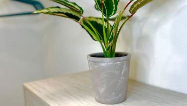 Cheyenne Jackpot Quiet Cul de sac in Temple - Foto 4