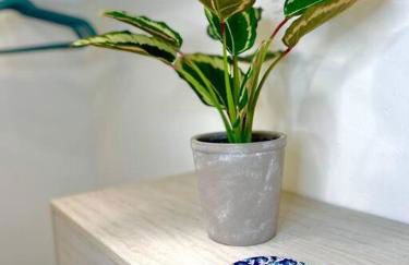 Cheyenne Jackpot Quiet Cul de sac in Temple - Foto 4