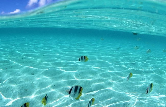 Royale Suites by Arc Royale Luxury Apts - Photo 27