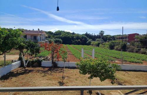 Sofia's Yard House - Foto 44