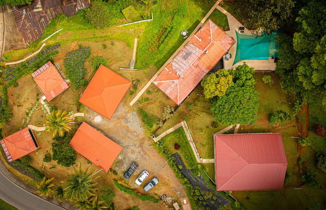 Colinas Tinamastes - Foto 69