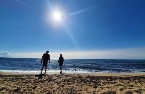 Speroni d'oro - Foto 27