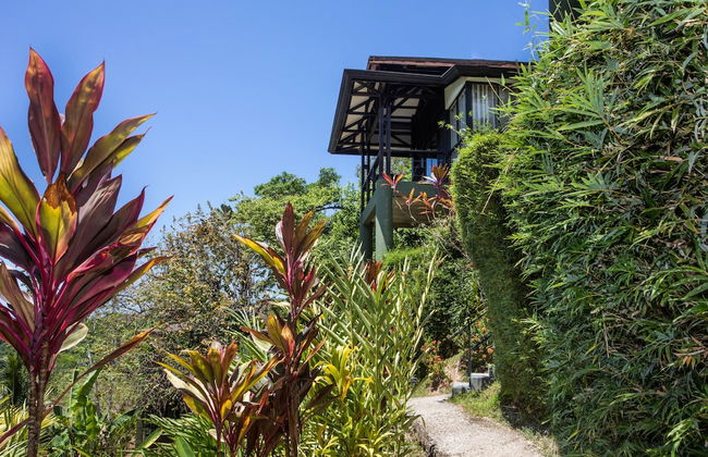 Tiki Villas Rainforest Lodge & Spa - Foto 67