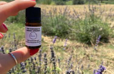 Casa laggiù - Foto 48