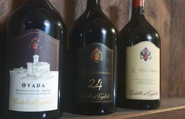 Castello di Tagliolo Wine Resort - Foto 17