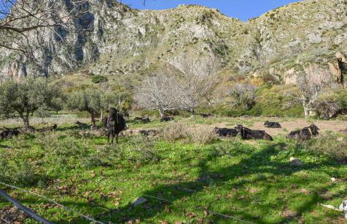 Amazing Home In San Giuseppe Jato - Foto 31