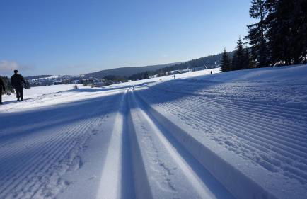 Rennsteig-Pension Trautwein - Foto 30