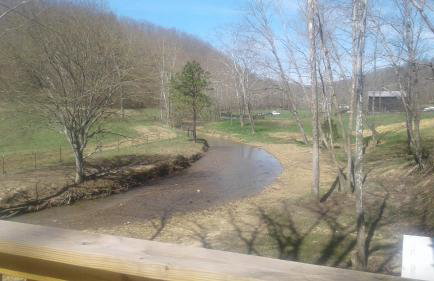 Tranquil Waters Cabin - Foto 30