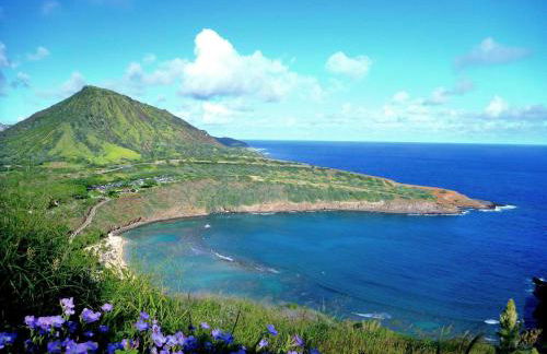 Diamond Head Beach #805 - Foto 46