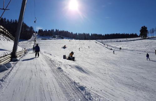 Natur-Design "Platzhirsch Sauerland" - Sauna, Kamin, Balkon, Garten, Hütte, Grill - Foto 46