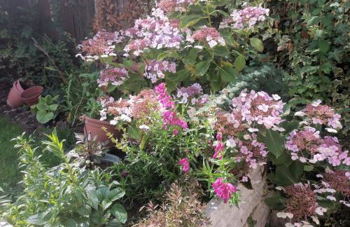 EMA, Castle Donington Circuit contractors group 4 bedrooms 7 bed house-private parking - Foto 3