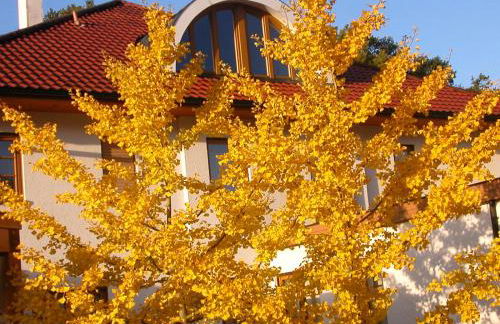 Ruhige, charmante Ferienwohnung "Im Erftal" - Foto 41