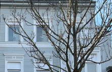 Der Schwan 7 - 3 Schlafzimmer - 2 Balkone - zentral - 100 qm - Foto 12