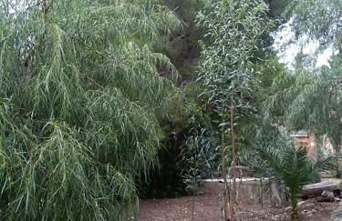 Villa Marilù - Foto 21